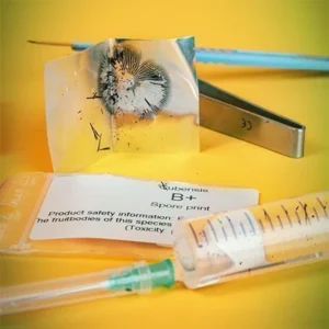Magic Mushroom Spore Syringe – Albino A+ psilocybe cubensis